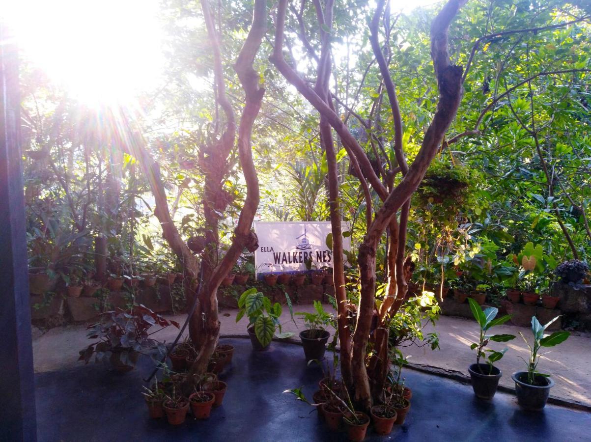 Ella Walkers Nest Hotel Exterior photo